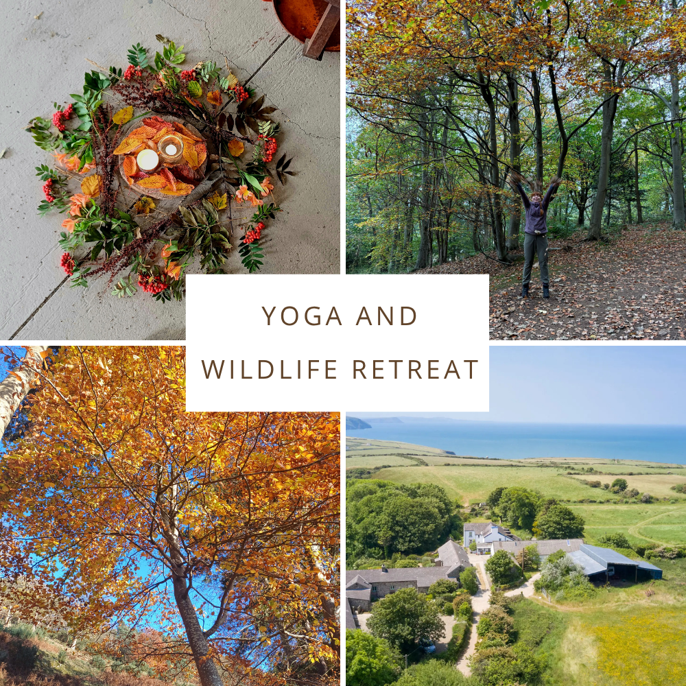 Autumn Yoga & Hiking Retreat